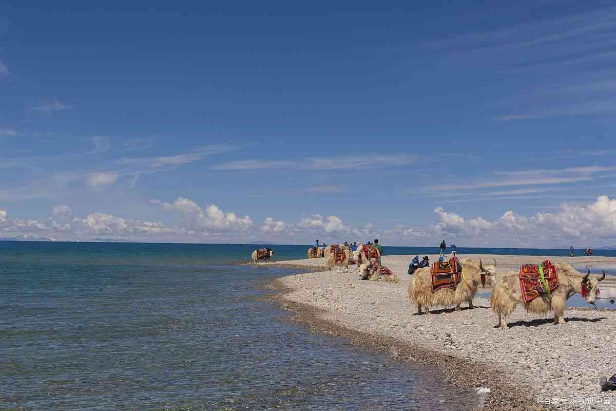 青海旅行攻略老人